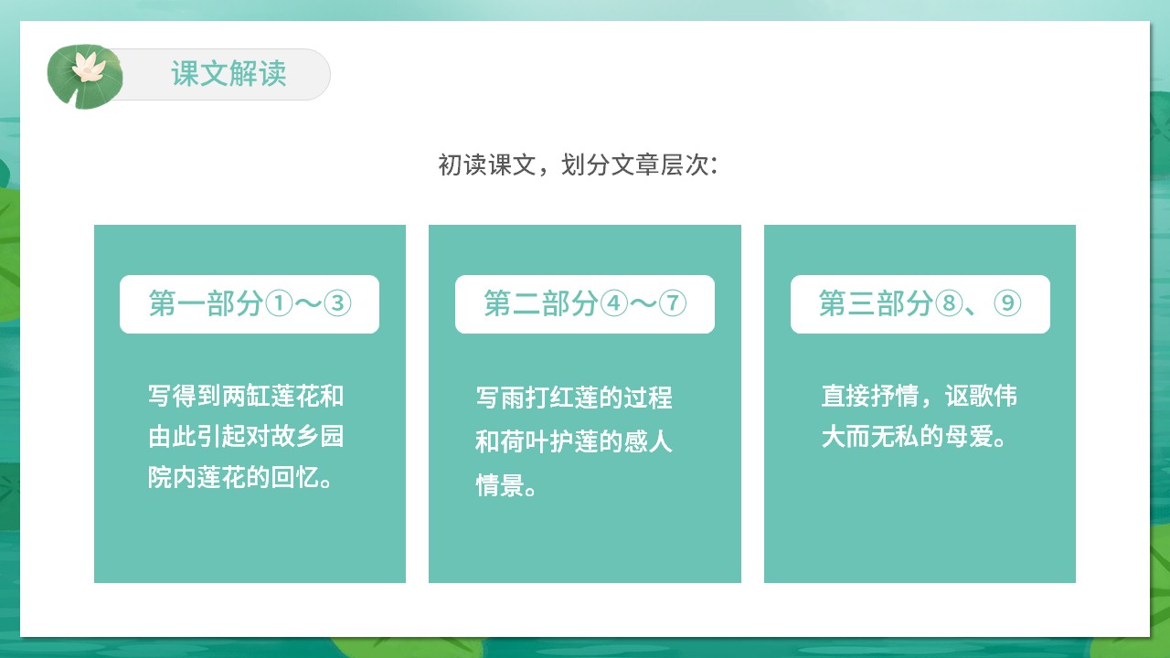 初中语文人教版七年级上册《荷叶母亲》教育教学课件