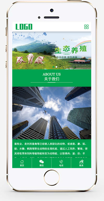 手机版截图.jpg